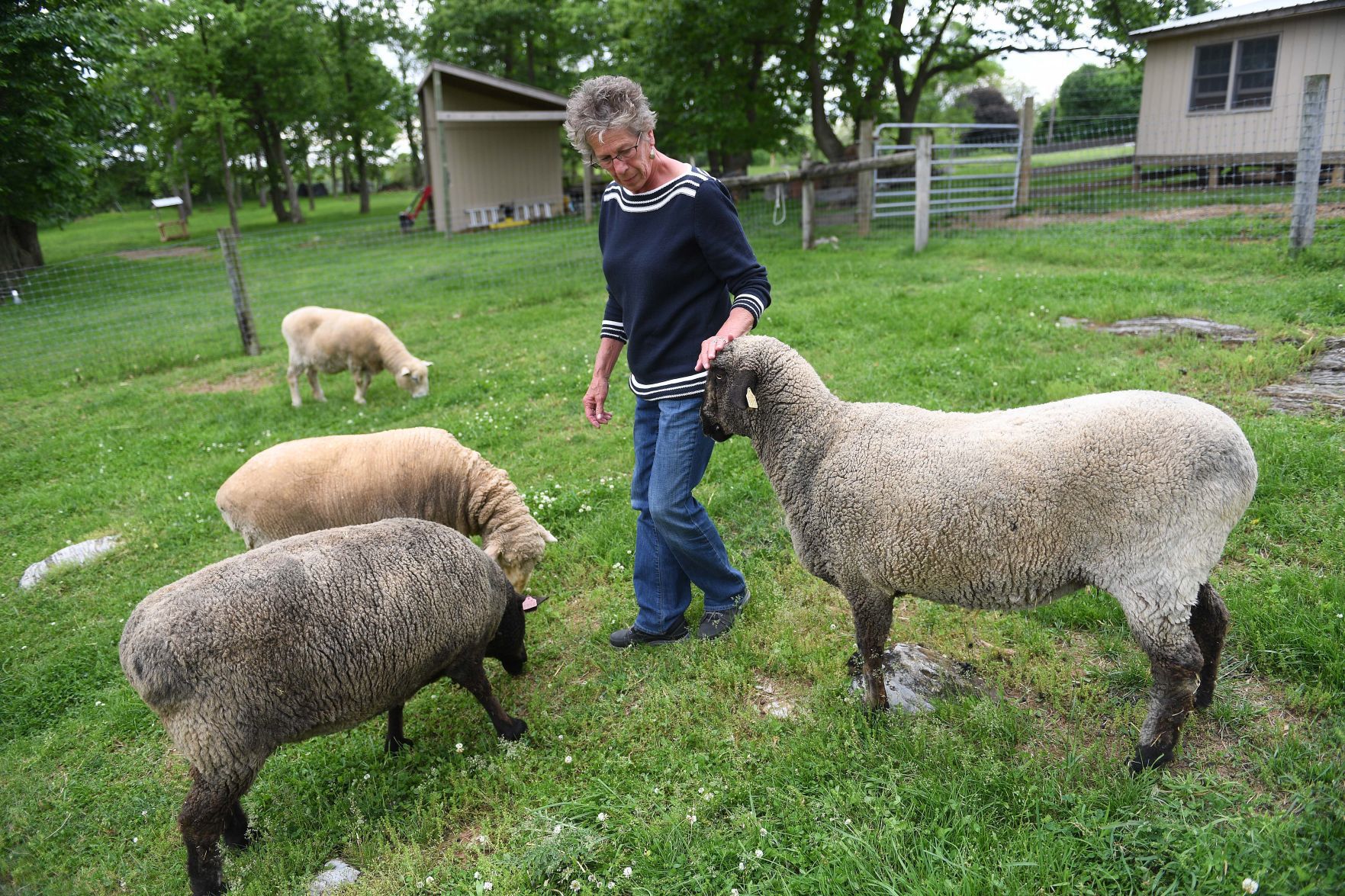 Mulberry Hill Farm